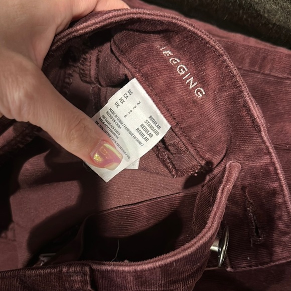 American Eagle Outfitters Corduroy Jeggings - Picture 3 of 8